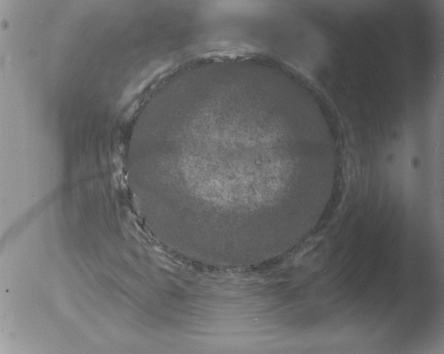 X0000051861399200507081811