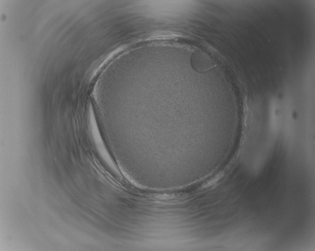 X0000051861401200507081811