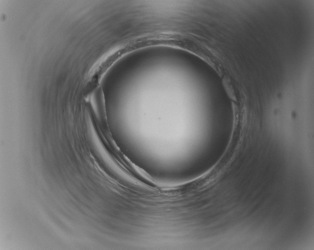 X0000051861402200507081811