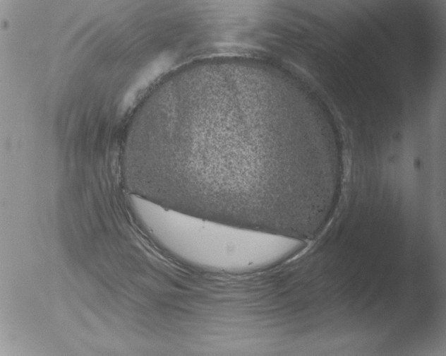 X0000051861403200507081811