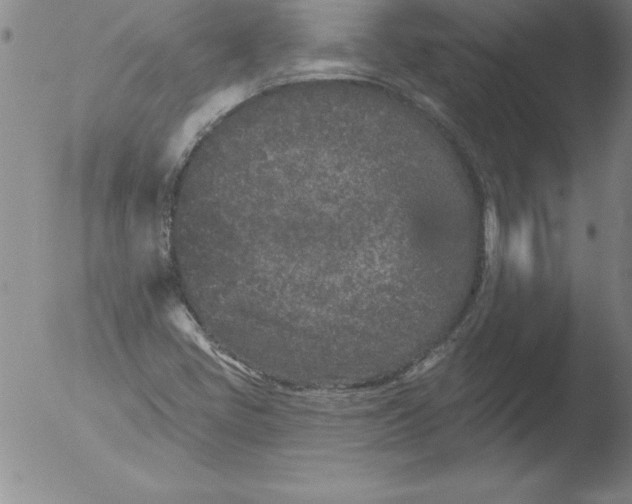 X0000051861405200507081811