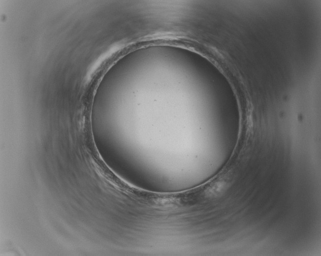 X0000051861406200507081811