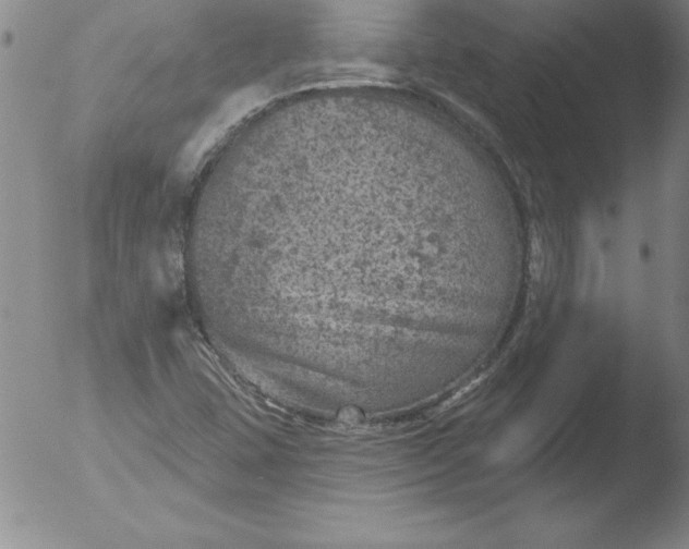 X0000051861407200507081811