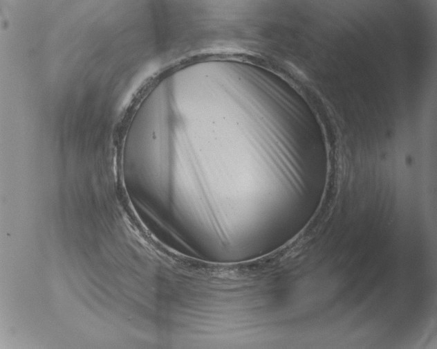 X0000051861408200507081811