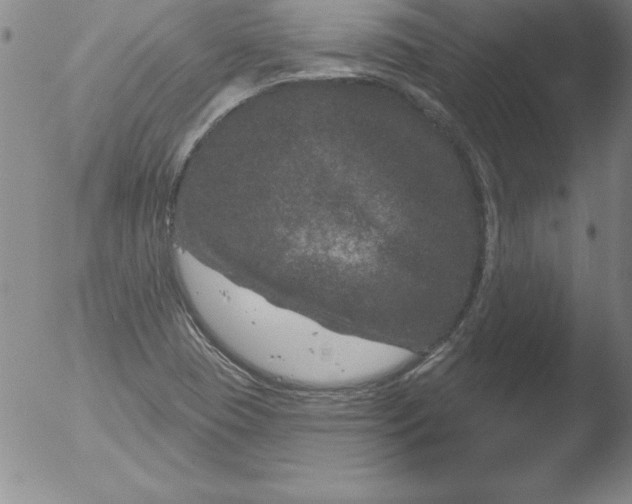 X0000051861409200507081811