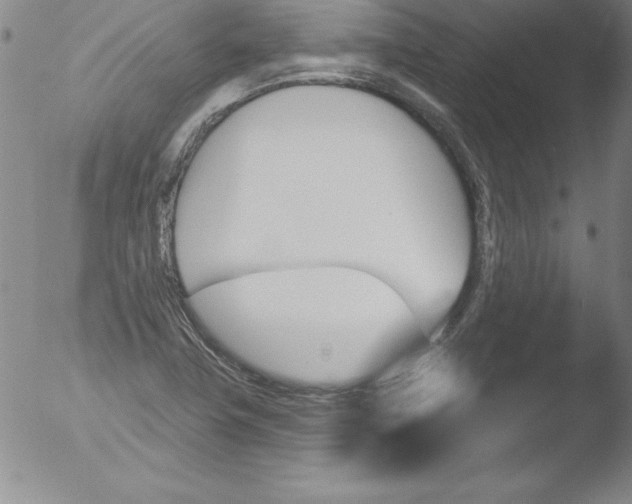 X0000051861411200507081811