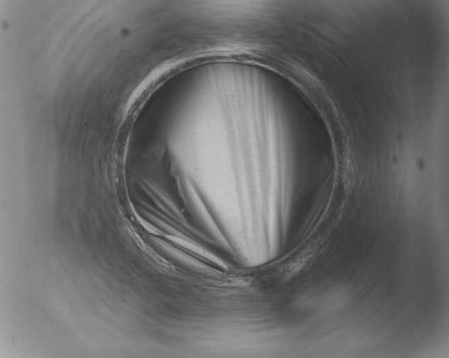 X0000051861412200507081811