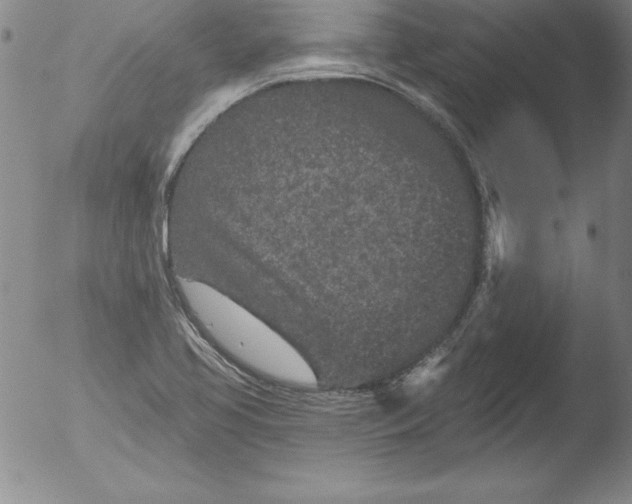 X0000051861413200507081811