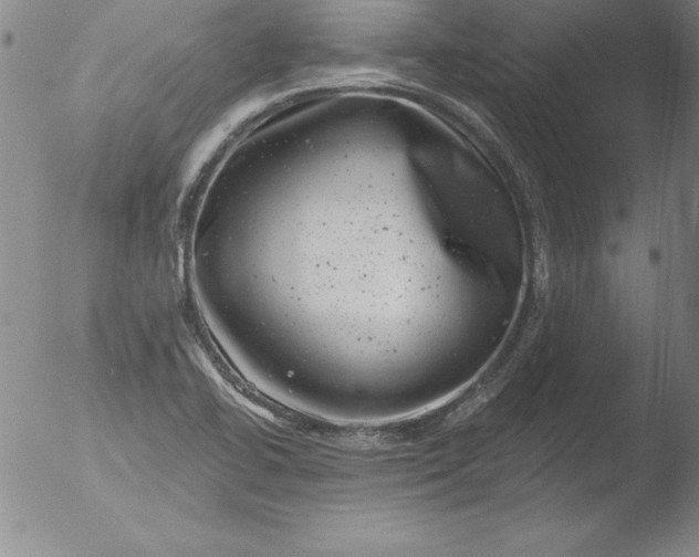 X0000051861414200507081811