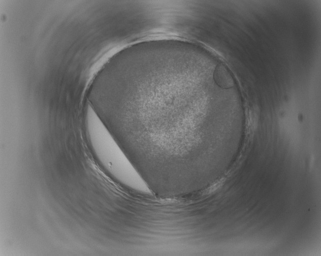 X0000051861415200507081811