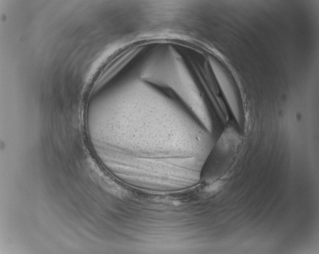 X0000051861416200507081811