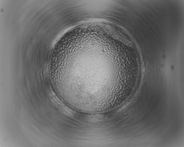 X0000051861417200507081811