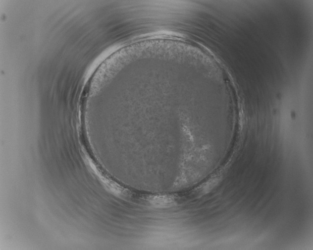 X0000051861418200507081811