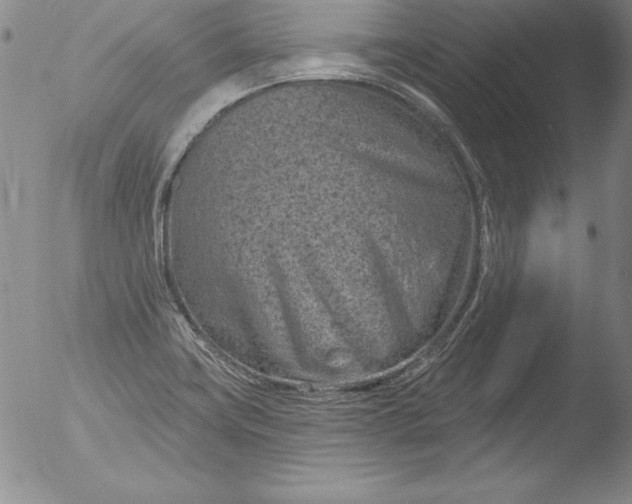 X0000051861419200507081811