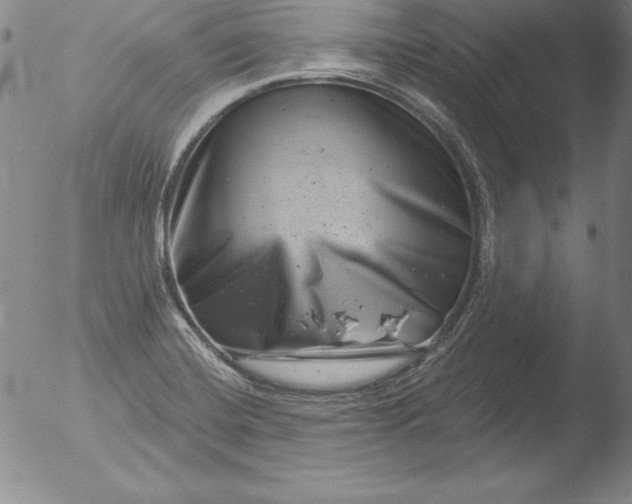 X0000051861420200507081811