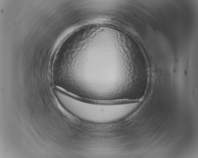 X0000051861421200507081811