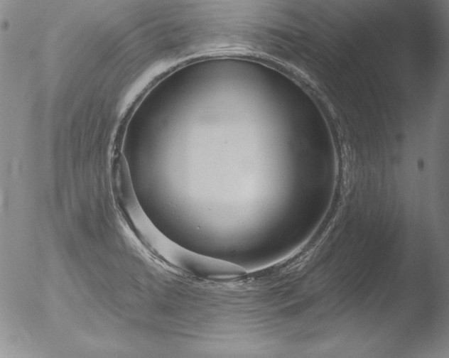 X0000051861422200507081811