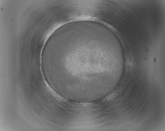 X0000051861423200507081811