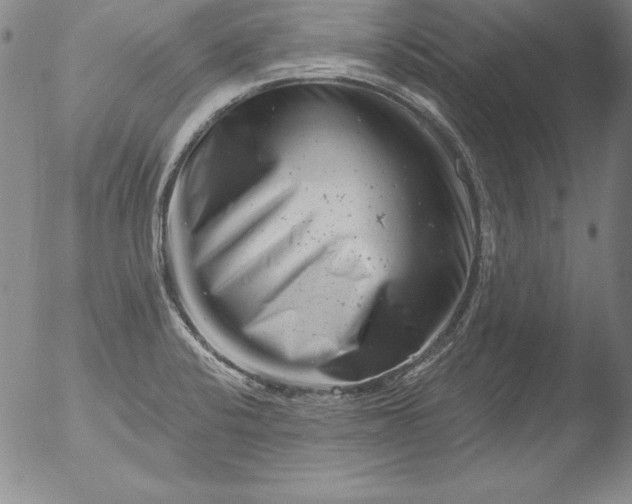 X0000051861424200507081811