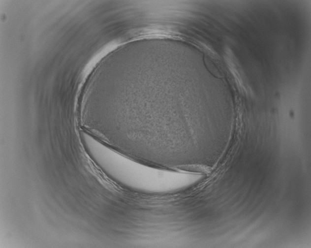 X0000051861427200507081811