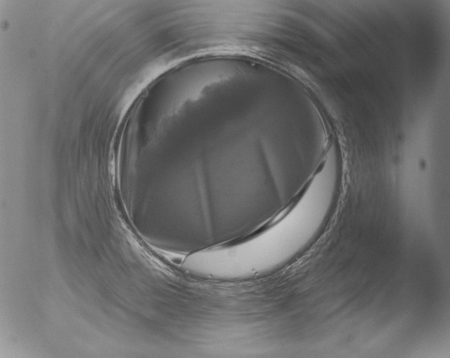 X0000051861428200507081811