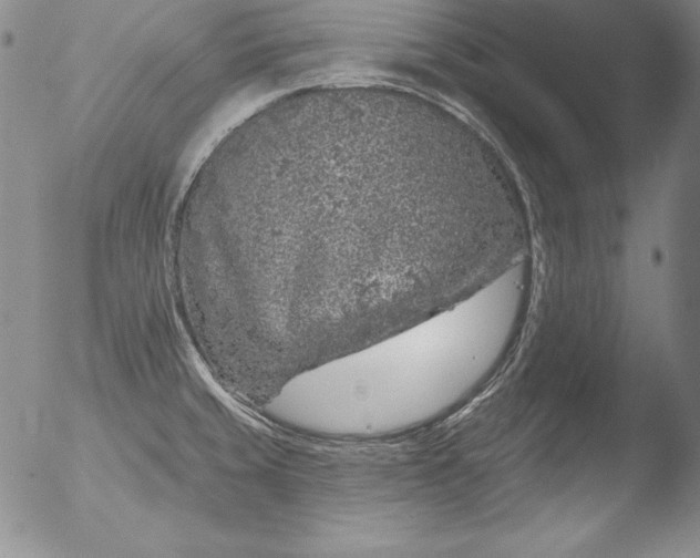 X0000051861429200507081811