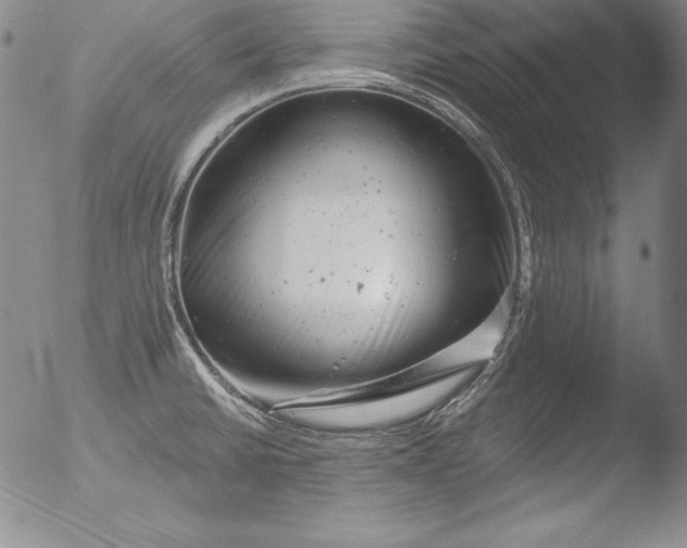 X0000051861430200507081811