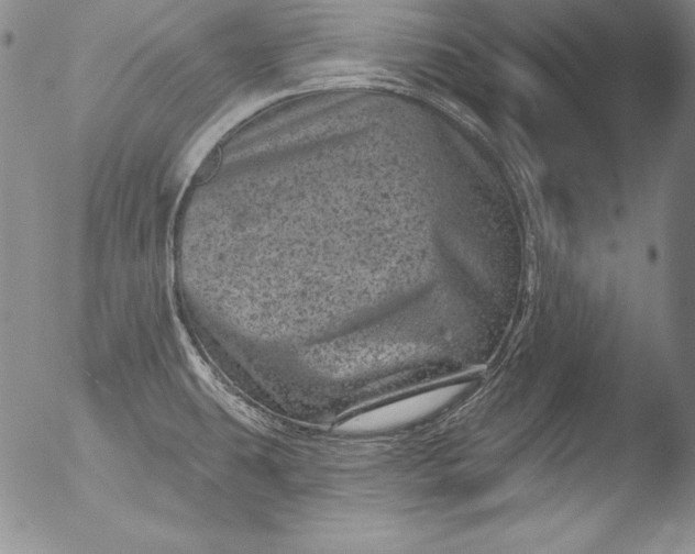 X0000051861431200507081811