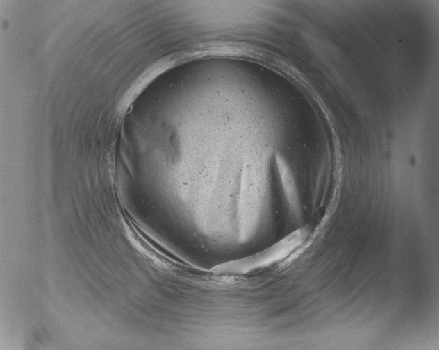 X0000051861433200507081811