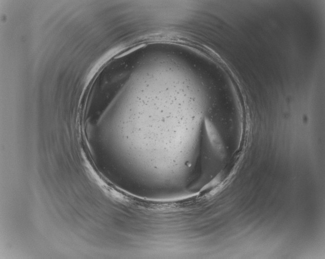 X0000051861434200507081811