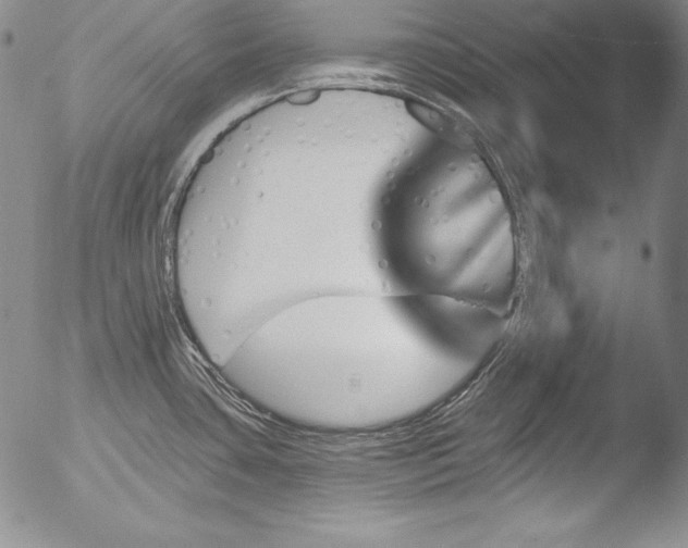 X0000051861435200507081811