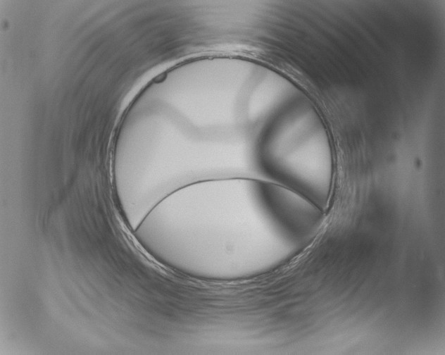 X0000051861436200507081811