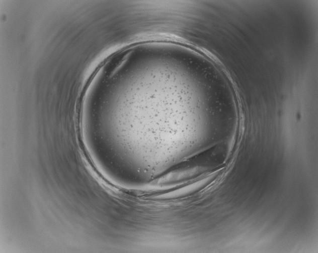 X0000051861438200507081811