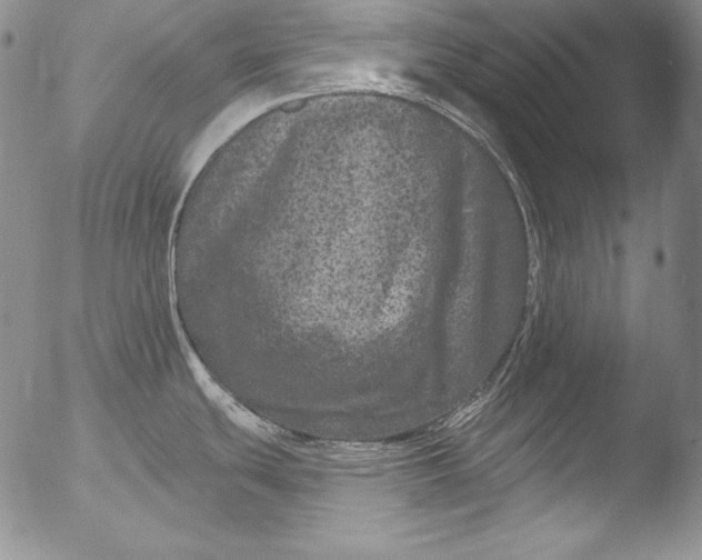 X0000051861439200507081811