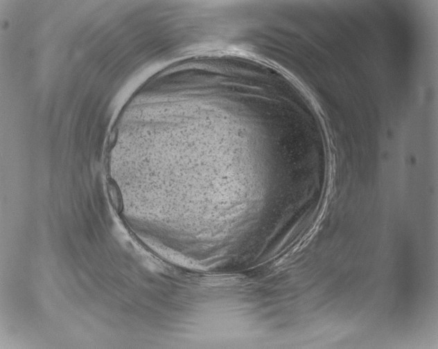 X0000051861440200507081811