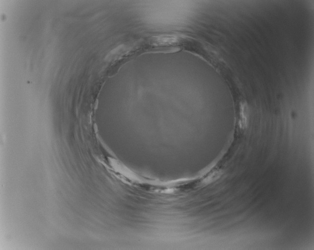 X0000051861441200507081810