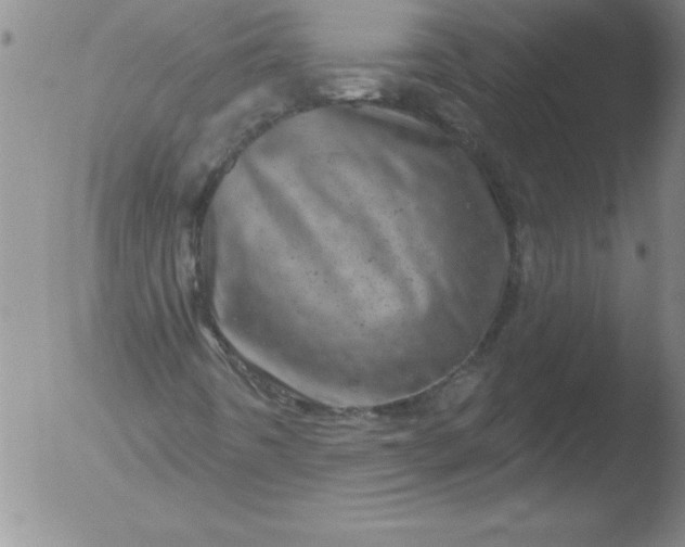 X0000051861442200507081810