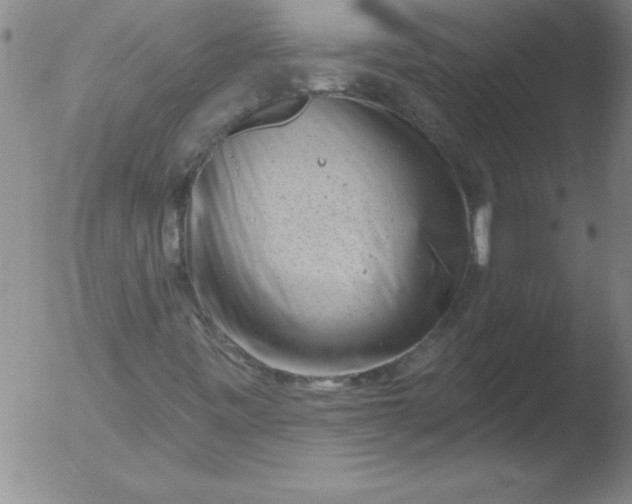 X0000051861443200507081810