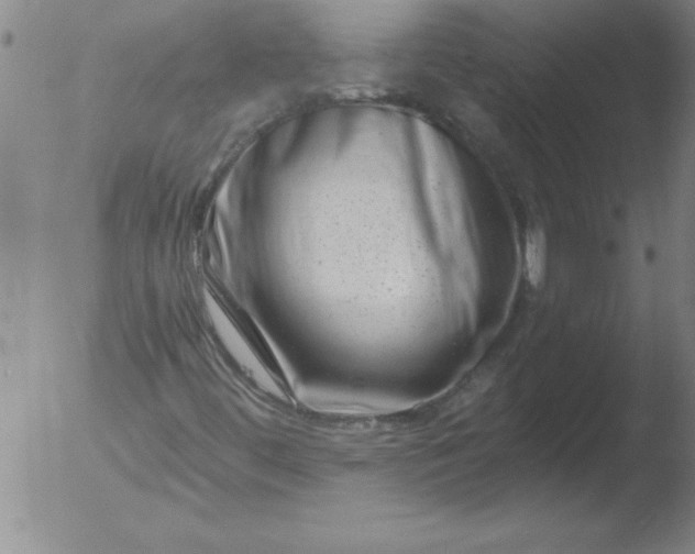 X0000051861444200507081810