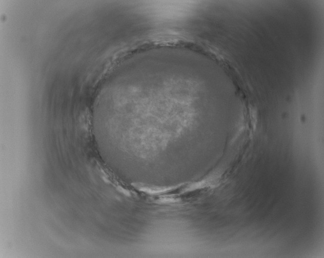 X0000051861445200507081810