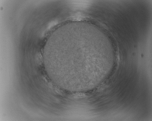 X0000051861446200507081810