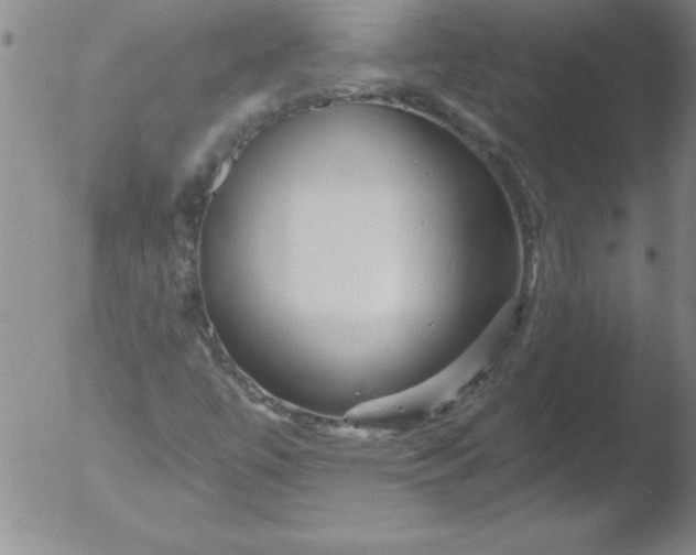 X0000051861447200507081810