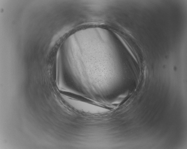 X0000051861448200507081810