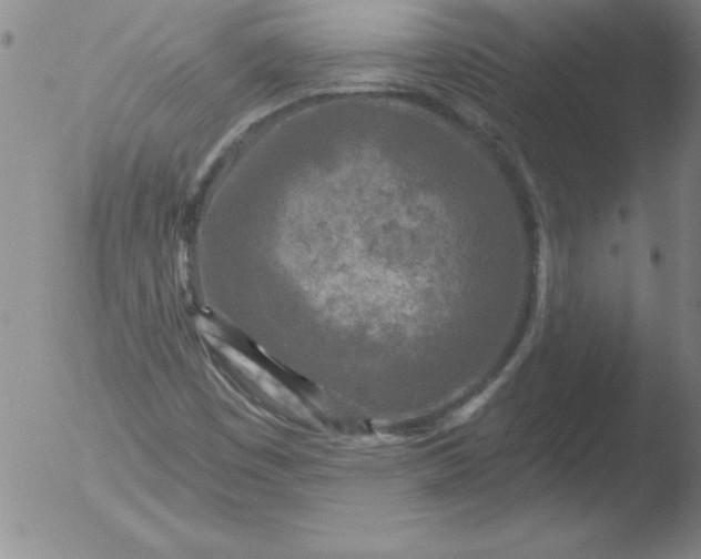 X0000051861449200507081810