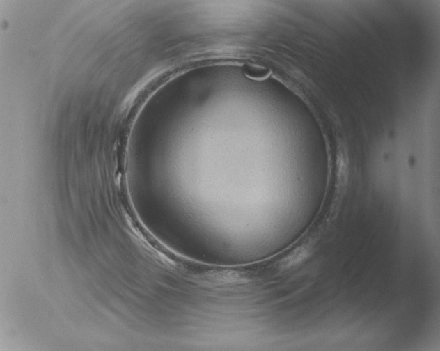 X0000051861450200507081810