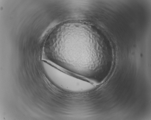 X0000051861451200507081810