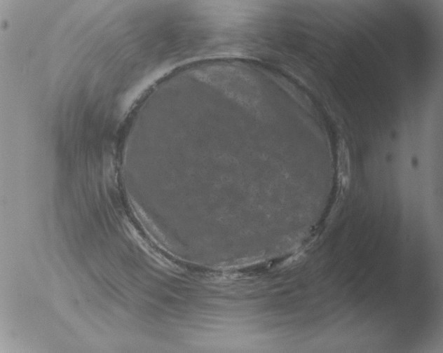 X0000051861452200507081810