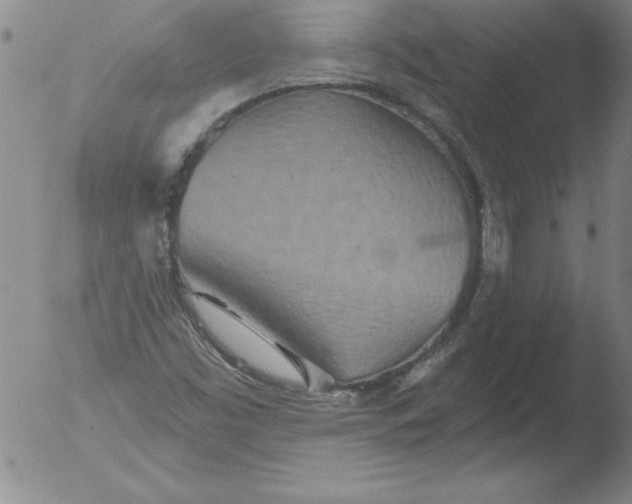 X0000051861453200507081810