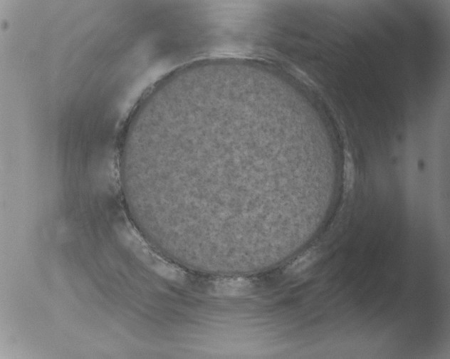 X0000051861454200507081810