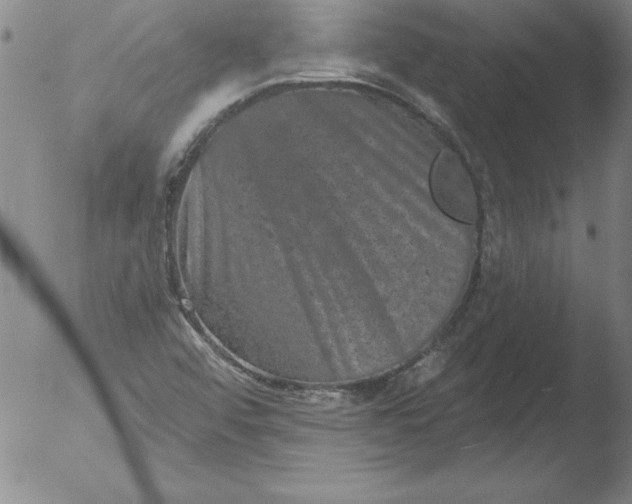 X0000051861456200507081810